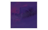 Serato Control Vinyl 10" - Purple (Pareja)