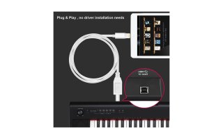 Cable Lightning a USB-B - Cable MIDI iPad & iPhone