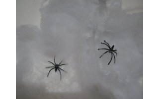 Telaraña - Spider Web - Blanco