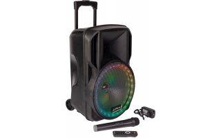 Party Light & Sound 12 RGB - Altavoz portable 12" - Iluminación LED RGB