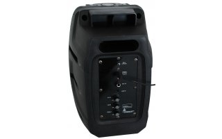 Ibiza Power 6 - Batería recargable + USB & SD & MP3 & Bluetooth + Microfono