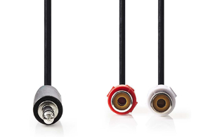 Cable de Audio Estéreo - Macho de 3,5 mm - 2x RCA Hembra - 0,2 m - Negro