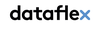 Logo Dataflex