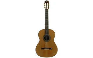 Jose Torres JTC-30
