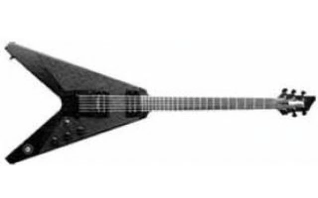 Washburn WE-V