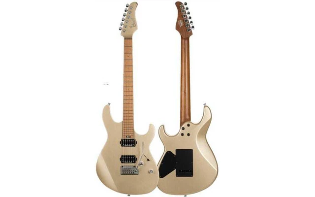 Cort Guitars G300 Pro MGD
