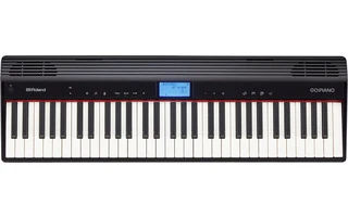 Roland Go:Piano