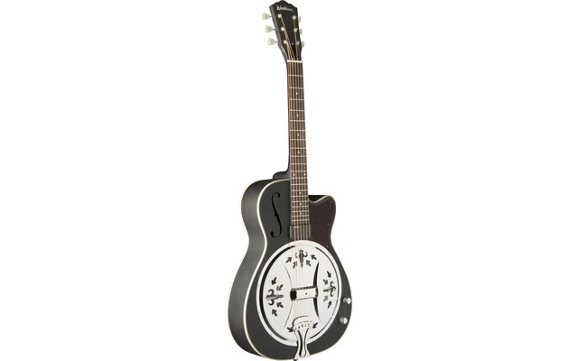Washburn R60BCE