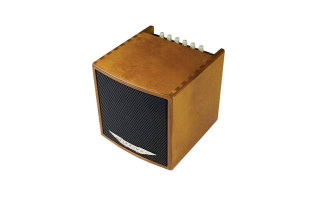 Ashdown COMBO ACÚSTICA 40 W. Madera