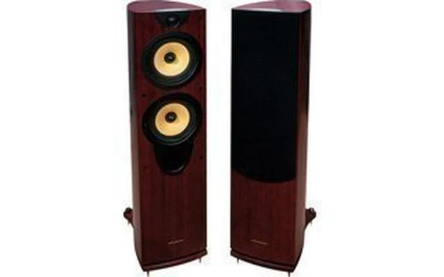 Wharfedale EVO 30 (Pareja)