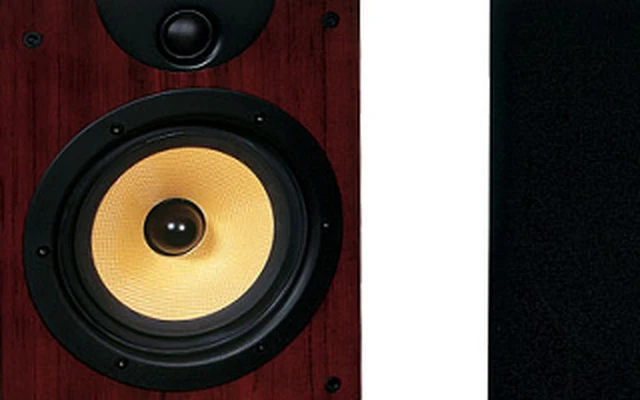 Wharfedale EVO 30 (Pareja)