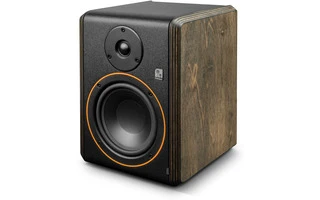 Palmer Studimon 5