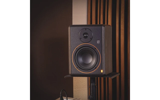 Palmer Studimon 5