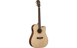 Washburn WLD10SCE