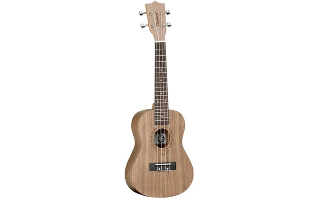 Tanglewood TWT3