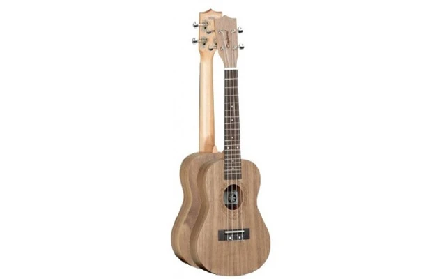 Tanglewood TWT3