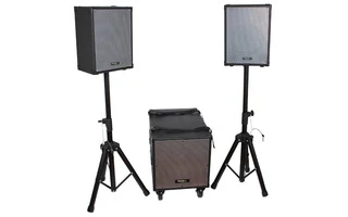 Ibiza Sound Cube 1208 Portable