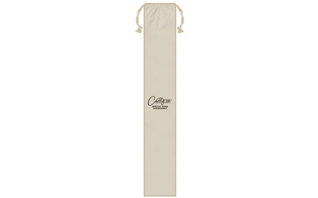 Carry On Digital Wind Instrument