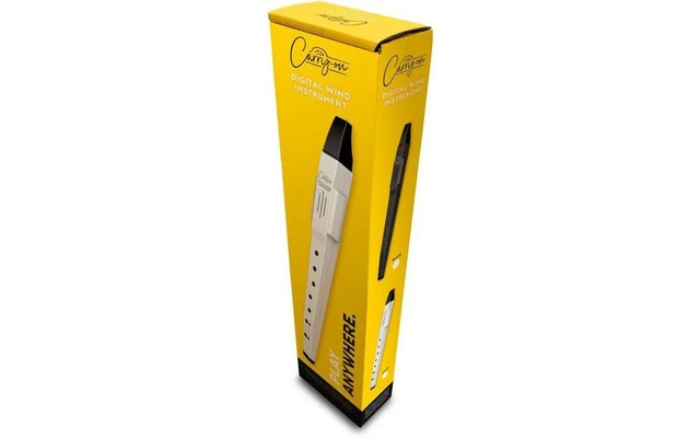 Carry On Digital Wind Instrument
