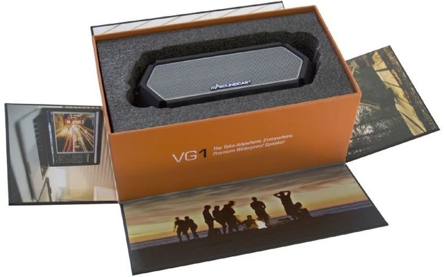 SoundCast VG1