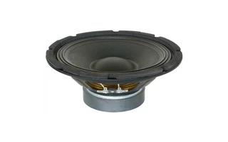 SkyTec SP1000 Altavoz de 10