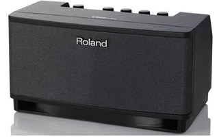 Roland Cube Lite Monitor