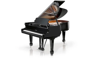 Hoffman P-188 Negro Pulido
