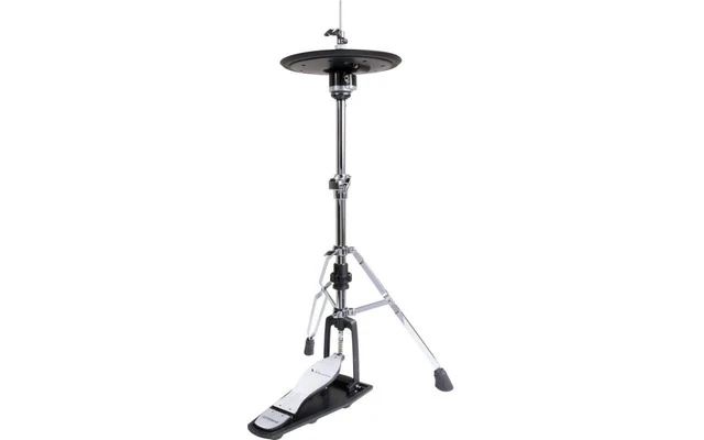 Roland RDH-120A