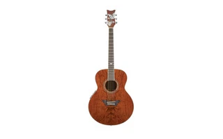 Daisy Rock 14-6280 Butterfly Jumbo Bubinga