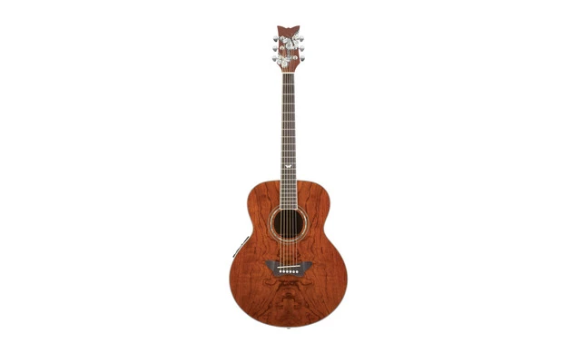 Daisy Rock 14-6280 Butterfly Jumbo Bubinga