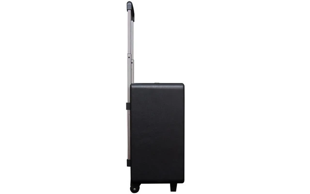AMS MGB 150 USB BAT - Amplificador guitarra/bajo eléctrico Bluetooth