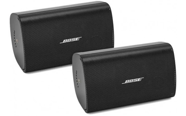 Bose Pro FreeSpace FS2SE