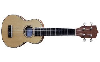 Rochester SOPRANO UK28SE Electrificado