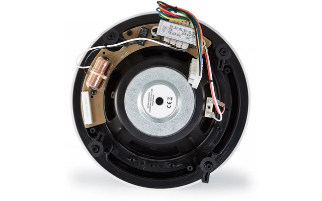 Altavoz de techo subwoofer 8