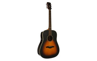 EKO Guitars EGO Star EQ