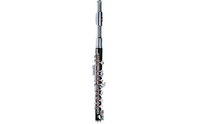 Bernard FLAUTIN  BFP-456