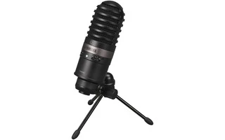 Yamaha YCM01U