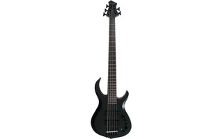Marcus Miller M2-5 (2ND Gen) Tbk Trans Black