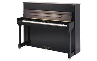 Bechstein Contur 118  negro poliester