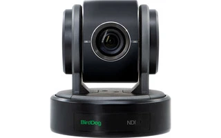 BirdDog Eyes P100