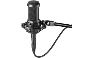 Audio Technica AT2050