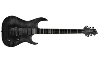 Washburn PXM-20 EFTBM