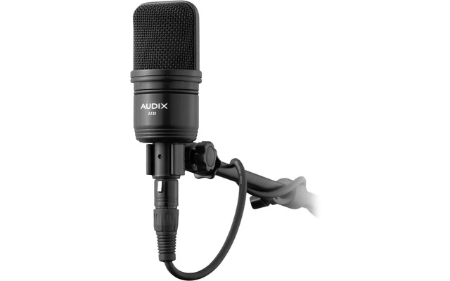 Audix A131