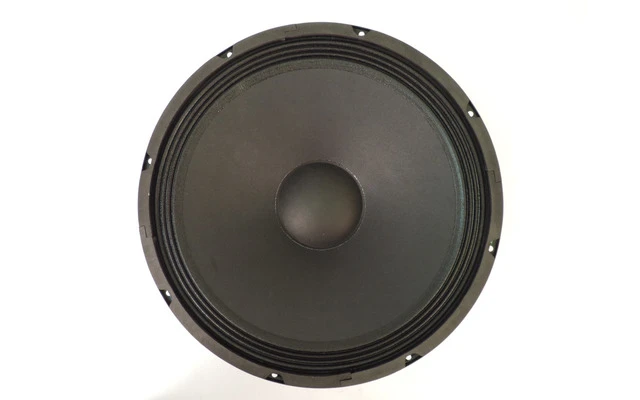 Repuesto de Woofer 15
