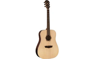 Washburn WLD20S