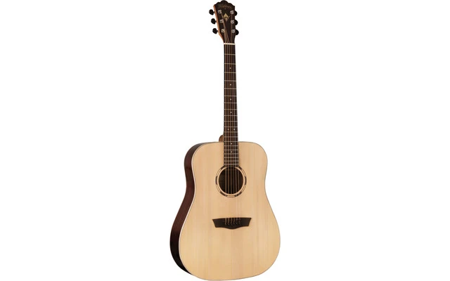 Washburn WLD20S