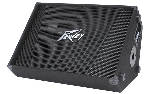 Peavey PV 15/M