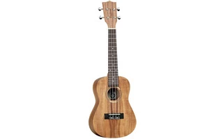 Tanglewood TWT8