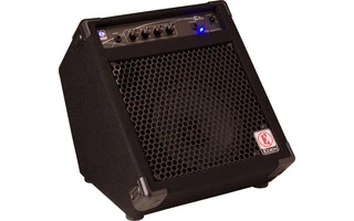 Eden E8JR