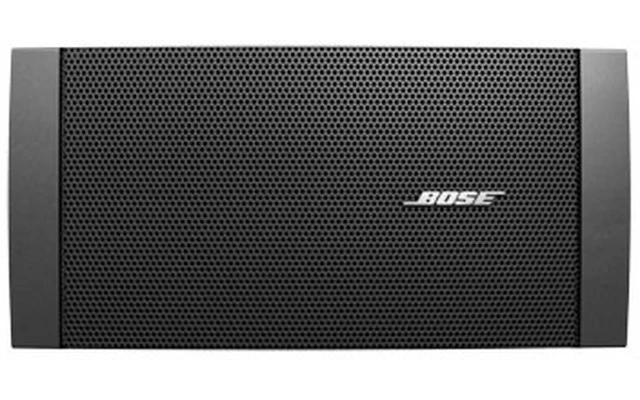 Bose DS 16 SE